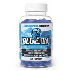 blue-ox.jpg